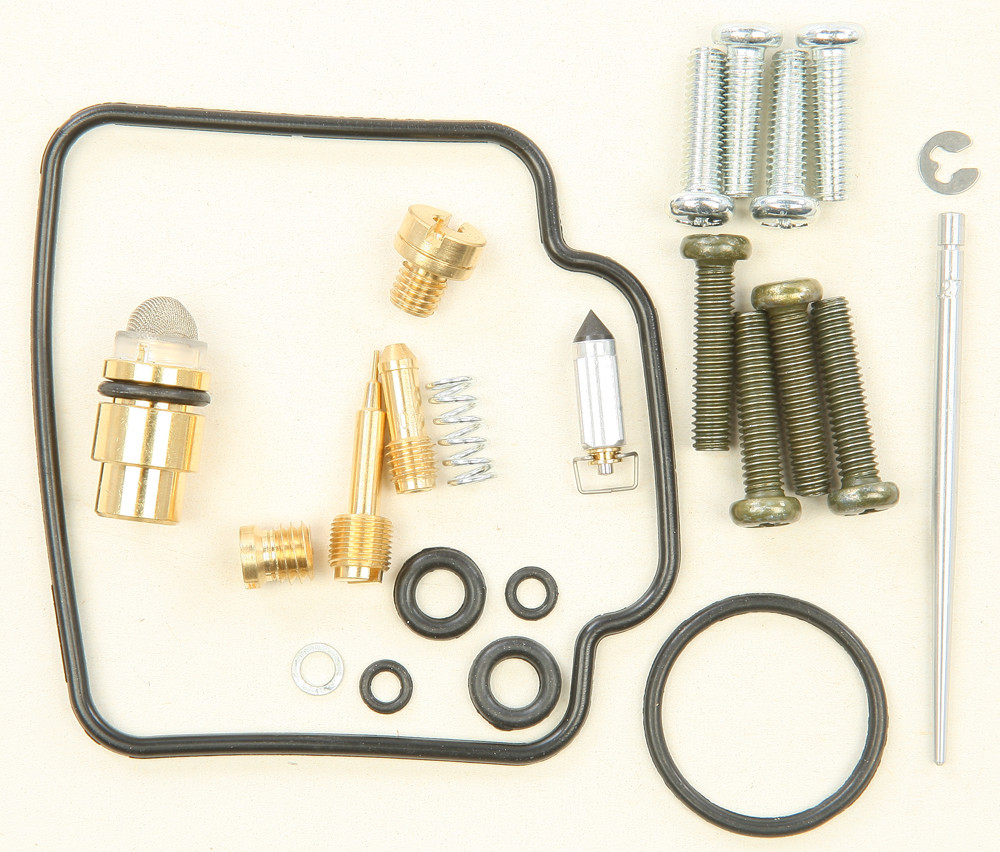 Carburetor Repair Kit
