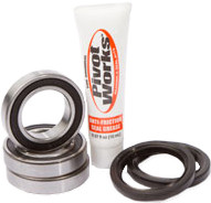 Wheel Bearing & Seal Kit