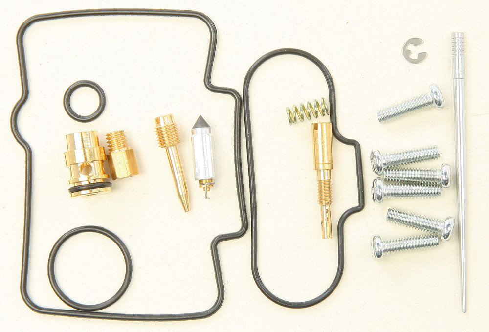 Carburetor Repair Kit