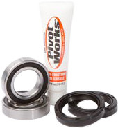 Wheel Bearing & Seal Kit