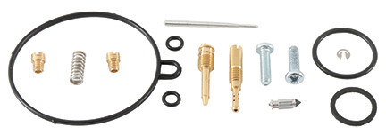 Carburetor Repair Kit