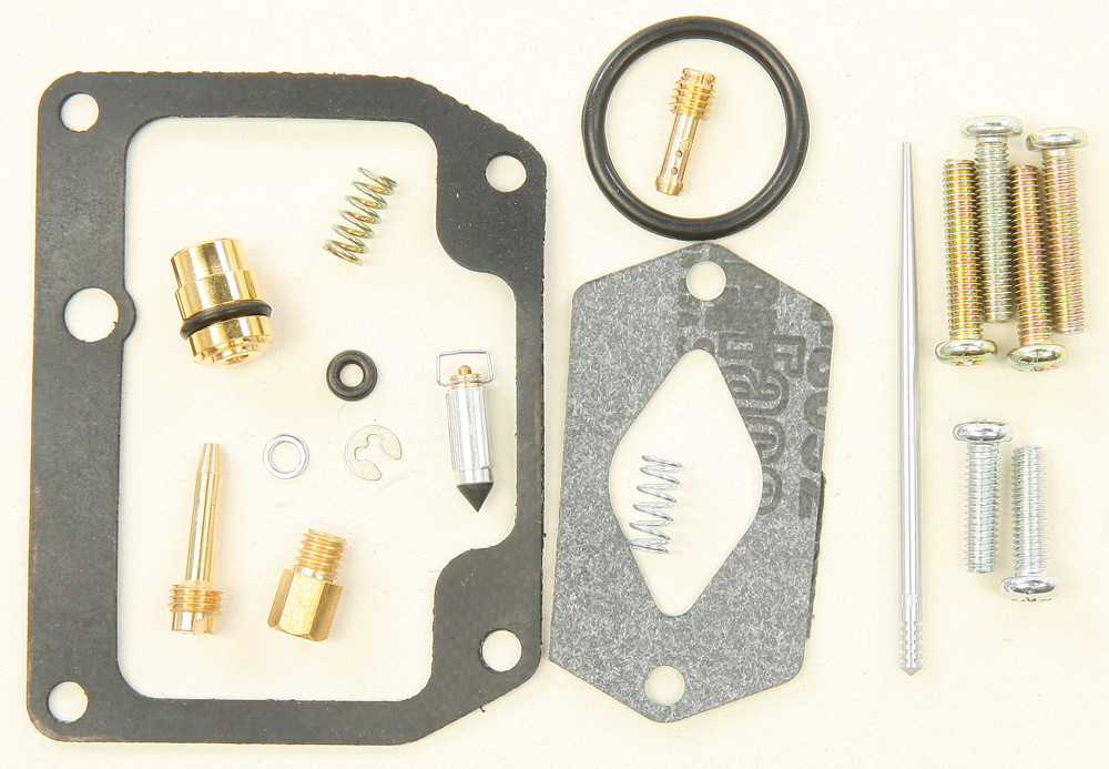 Carburetor Repair Kit