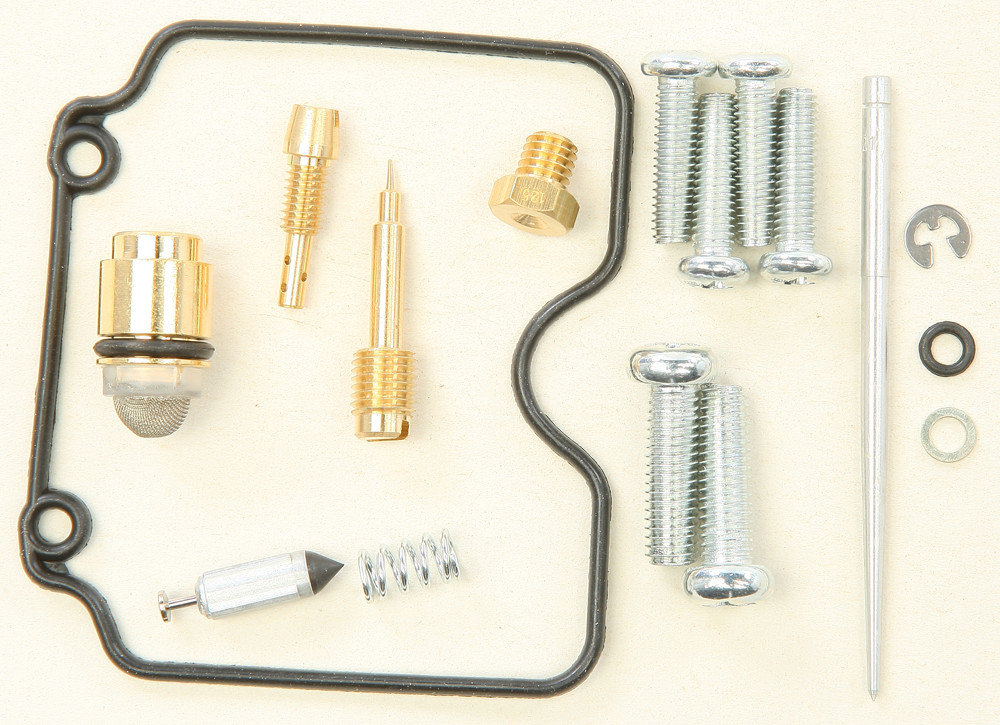 Carburetor Repair Kit