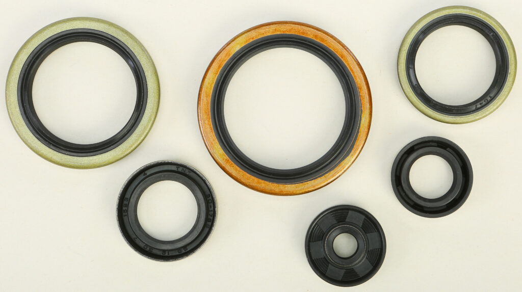 Oil Seal Kit