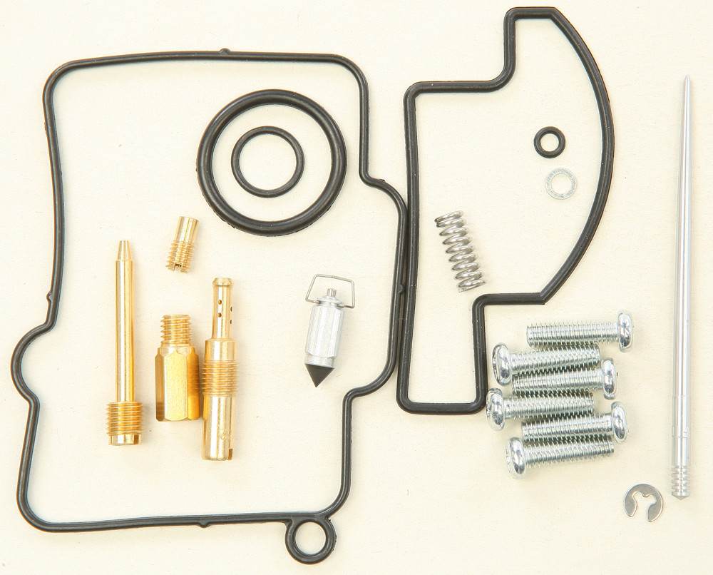 Carburetor Repair Kit