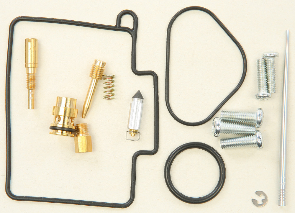 Carburetor Repair Kit