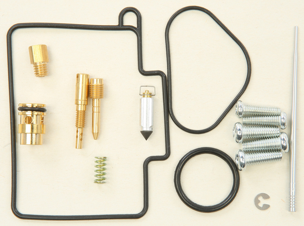 Carburetor Repair Kit