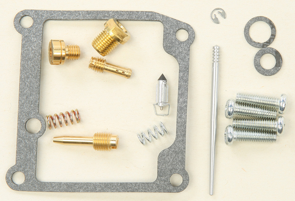 Carburetor Repair Kit