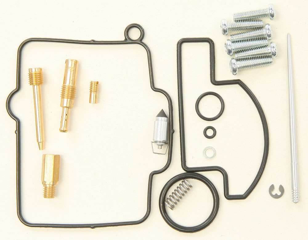 Carburetor Repair Kit