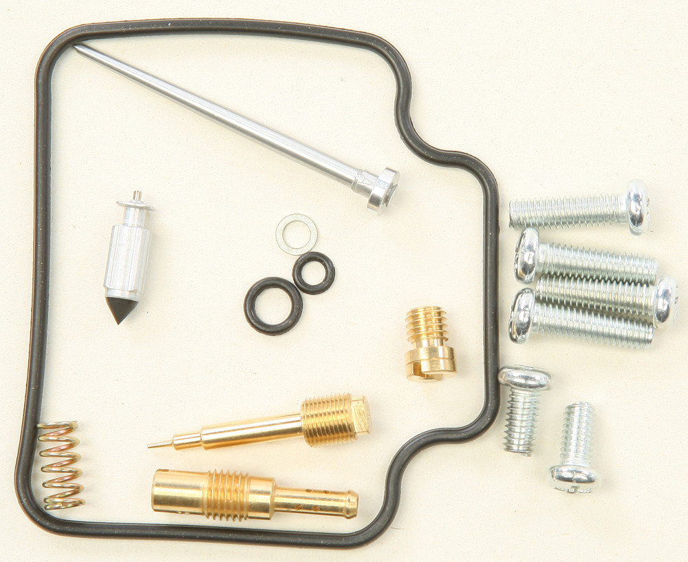 Carburetor Repair Kit