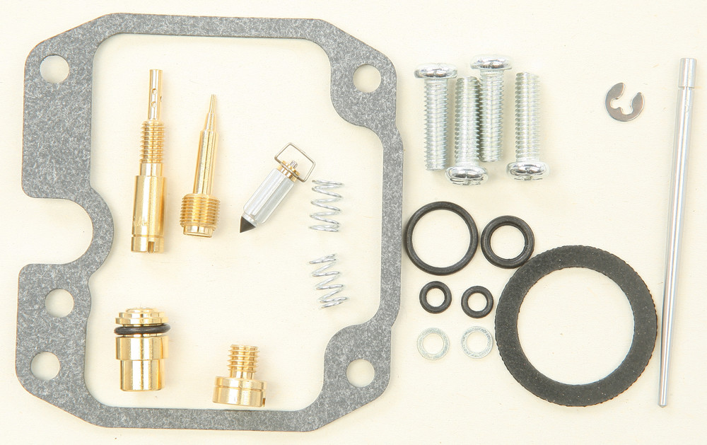 Carburetor Repair Kit