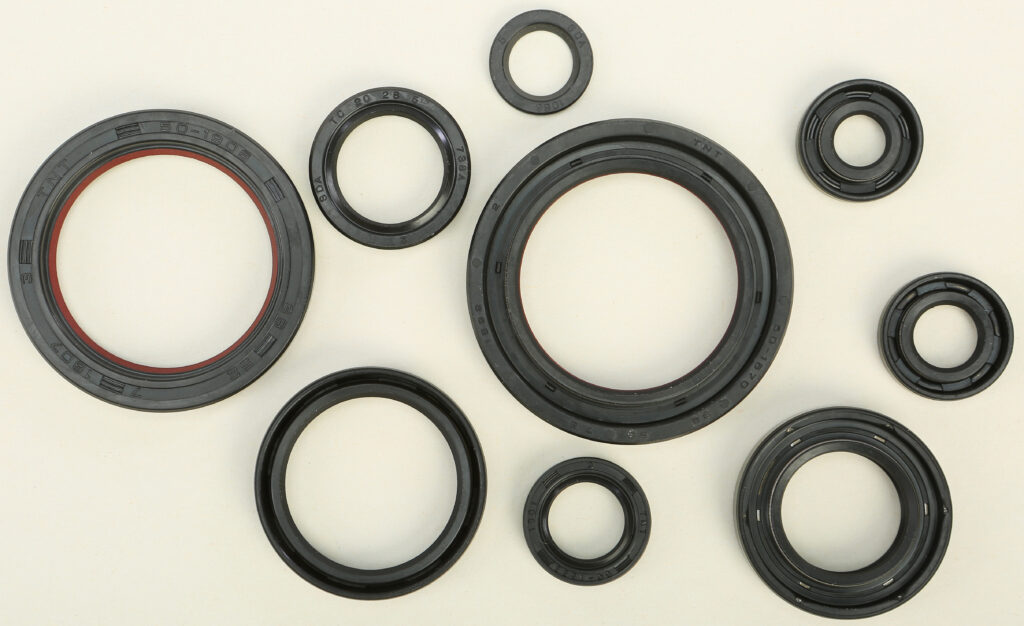 Oil Seal Kit