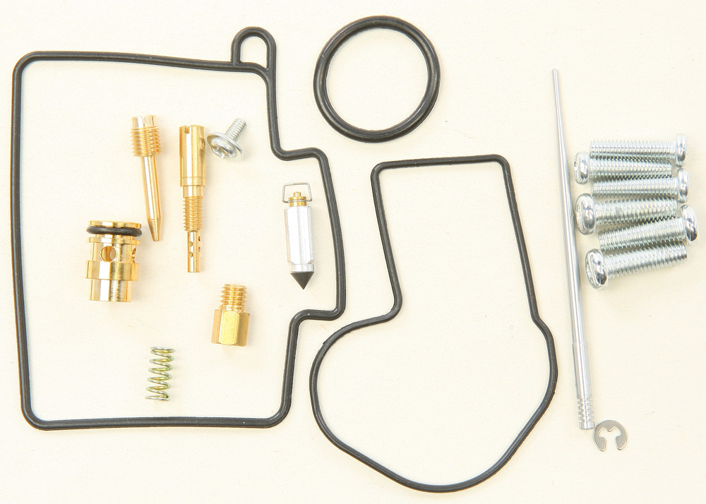 Carburetor Repair Kit
