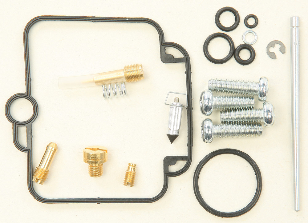 Carburetor Repair Kit