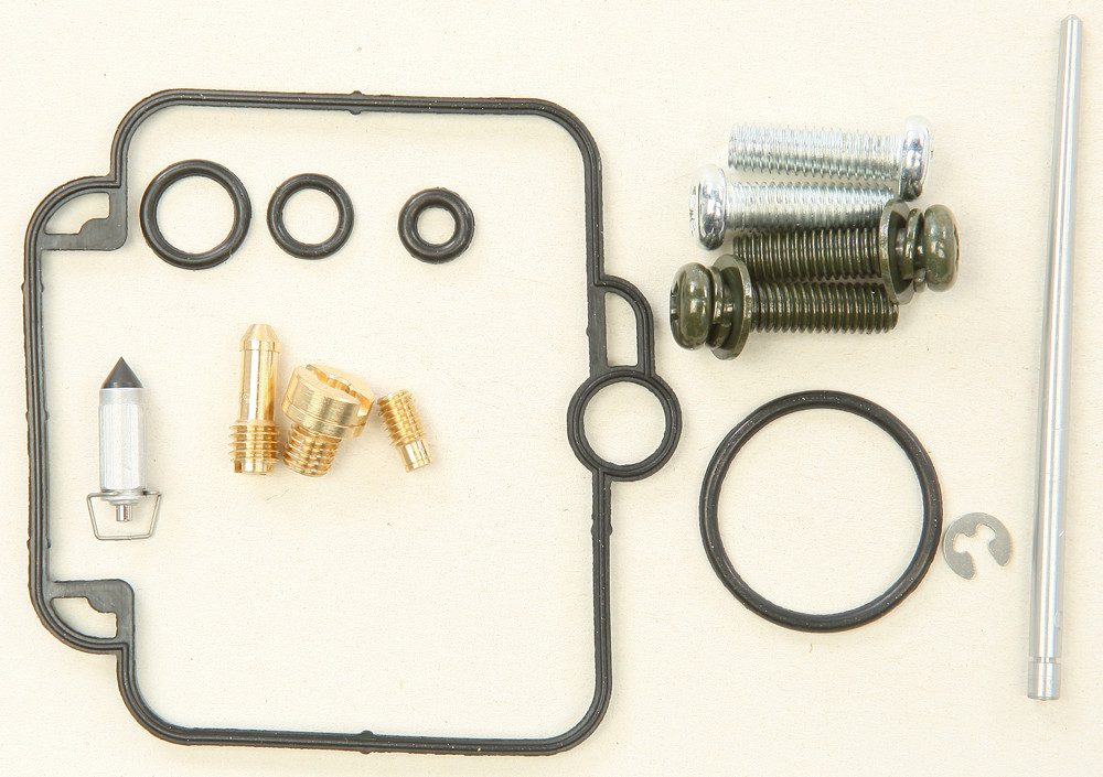Carburetor Repair Kit