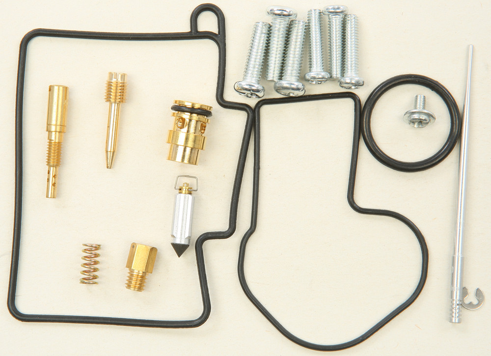 Carburetor Repair Kit