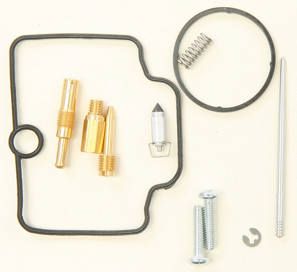 Carburetor Repair Kit