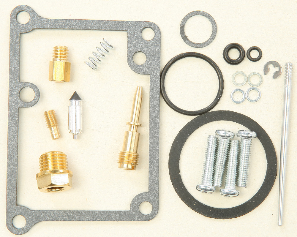 Carburetor Repair Kit